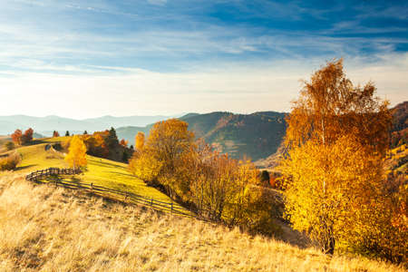 Autumn day Ukrainian Carpathians colorful trees, with the sun shining haze gentle rays with spectacular lighting effects. beech birch is very beautiful on the background of blue mountainsの写真素材