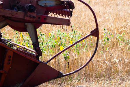 Modern tractor in the field with complex for the plowing. The concept of work in a fields and agriculture industry.の素材 [FY310188372144]