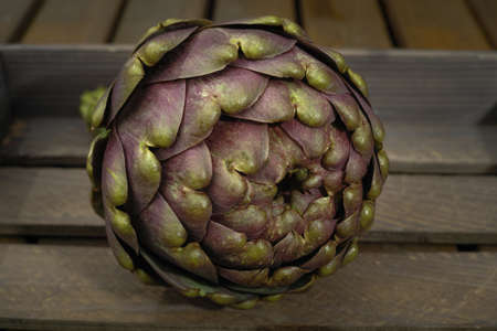 Fresh big Romanesco artichoke green-purple flower head, on wooden backgroundの写真素材