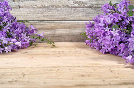 Purple campanula  bluebell flowers on wooden background, poscard concept, copy spaceの写真素材