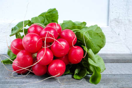 Bunch of fresh red radishes on white  wooden background, copy spaceの写真素材