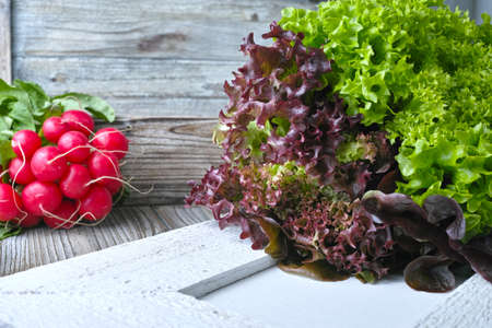 Organic red radish and multicolored fresh lettuce salad on wooden background, copy spaceの写真素材