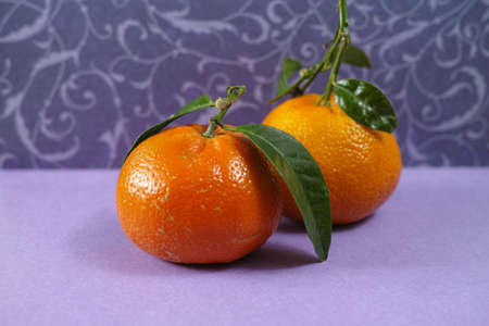 Fresh mandarin oranges fruit with green leaves on purple backgroundの写真素材