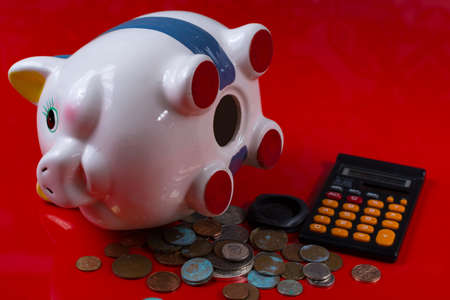 Opened piggy bank, clculator and coins on red backgroundの写真素材