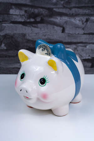 Piggy bank, coins savings, business concept on gray and white backgroundの写真素材
