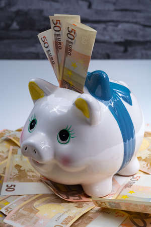 Piggy bank and euro banknotes -  sucess of money laundering business conceptの写真素材