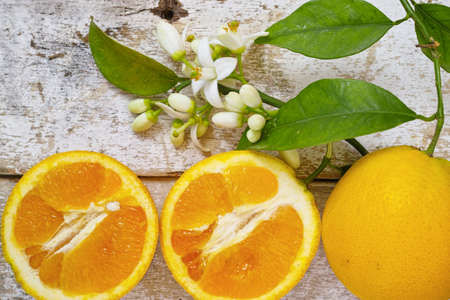 Fresh oranges with leaves and orange tree flowers on rustic wooden backgroundの写真素材