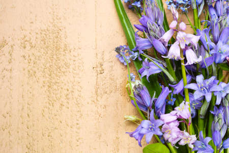 Bunch of fresh wild flowers hyacinths from the forest on wooden backgroundの写真素材