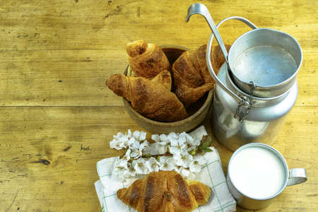 Aluminum milkcan witn organic milk and fresh baked croissants in the green spring gardenの写真素材