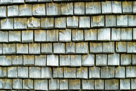 Old wood texture background close up