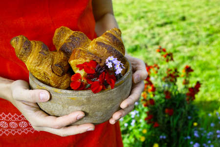 Young woman in red apron holding a plate of fresh baked croissantsの写真素材