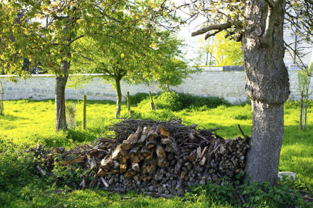 Stack of firewood in fruit garden, summer days in Normandy village, France
