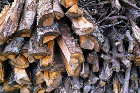 Stack of firewood in fruit garden, summer days in Normandy village, Franceの写真素材