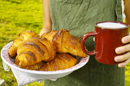 Young woman in green apron holding farm milk and plate with fresh baked croissantsの写真素材