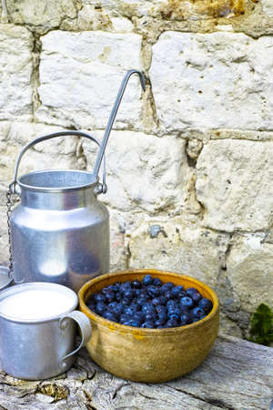 Breakfast on farm -  fresh organic cowmilk and blueberry on stone and wooden backgroundの写真素材
