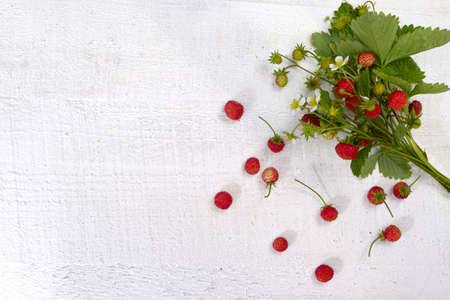 Bunch of ripe red wild strawberries on white wooden backgroundの写真素材
