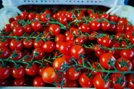 Fresh ripe red tomatoes in boxes in whole sale market ready for retailの写真素材