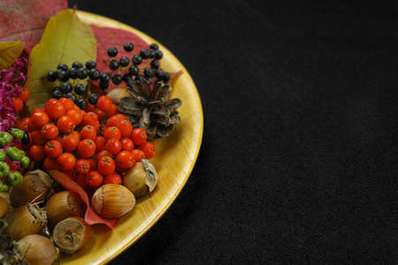 Autumn restaurant menu free text copy space with forest berries and cutlery on black backgroundの写真素材