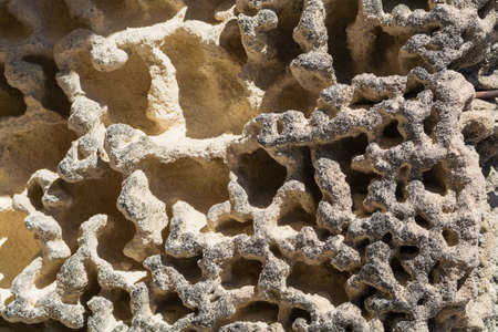 Textured limestone rock with erosion sponge surface, Provence, France