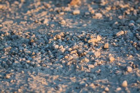 Gray pebbles on a forest path in sunlightの写真素材