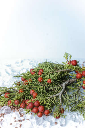 Christmas juniper with berries on chrystal ice decorationの写真素材