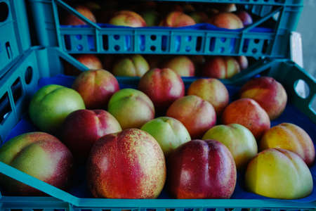 Fresh ripe peaches in boxes in whole sale market ready for retailの写真素材