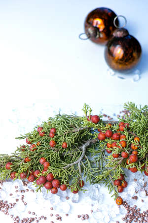 Christmas juniper with berries on chrystal ice decorationの写真素材