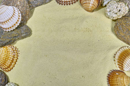 Shells and stones on the yelllow sand copy spaceの写真素材