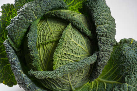 Whole head of green organic savoy cabbage over white backgroundの写真素材