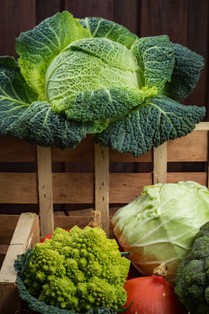 Green and orange fresh vegetables in wooden box, harvest - broccoli, savoy cabbage, green...