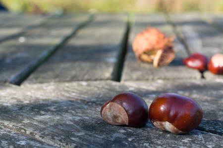 Fresh chestnuts on wooden background, sunny autumn dayの写真素材