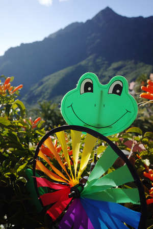 Colorful wind weather vane green frog on green backgroundの写真素材