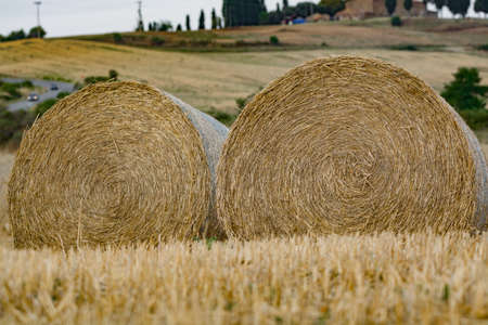 Round straw bales in harvested fields and blue sky in Tuscany, Italyの写真素材