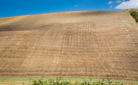 Typical hills of Tuscany, as seen from Montepulcianoの写真素材