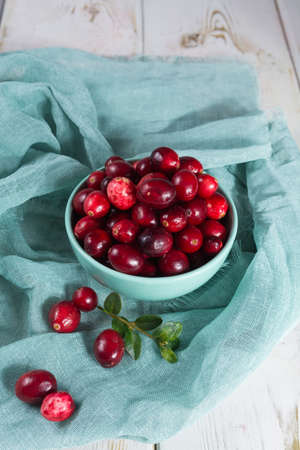 Red cranberries in a blue bowl. Ripe berries of Vaccinium macrocarpon, also large cranberry, American cranberry or bearberry.の写真素材