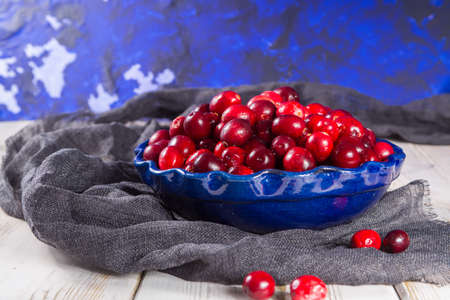 Red cranberries in a blue bowl. Ripe berries of Vaccinium macrocarpon, also large cranberry, American cranberry or bearberry.の写真素材
