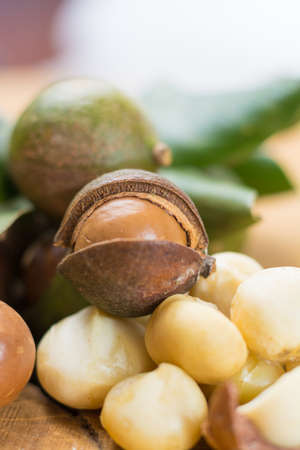 Macadamia nuts harvest close upの写真素材