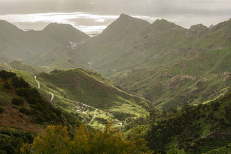 Road TF-12 in Anaga Rural Park - evergreen peaks with ancient forest on Tenerife, Canary Islands, winter travel destinationの写真素材