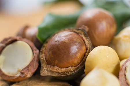 Macadamia nuts harvest close upの写真素材