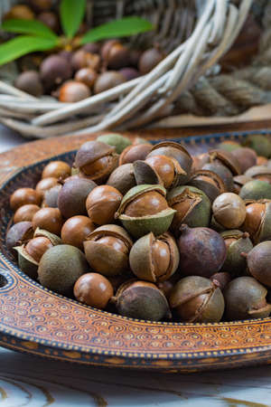 Macadamia nuts harvest close up with leavesの写真素材