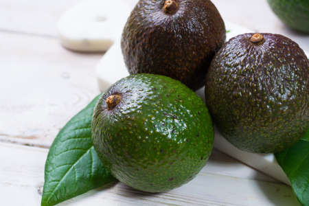 Green fresh avocado from organic avocado plantation - healthy foodの写真素材