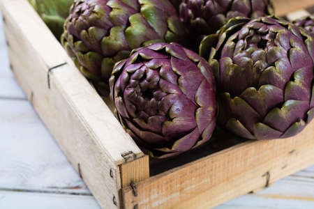 Fresh big Romanesco artichokes green-purple flower heads ready to cook seasonal foodの写真素材