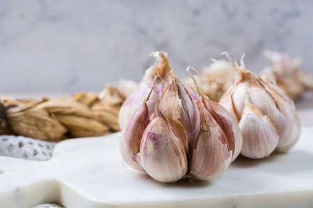 Garlic. Dried French garlic. Red garlic. Violet garlic.Garlic background. garlic bulbs on white marble.の写真素材