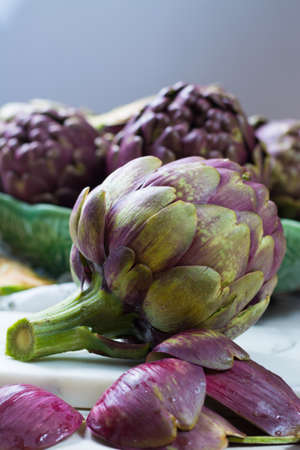 Fresh big Romanesco artichokes green-purple flower heads ready to cook seasonal foodの写真素材