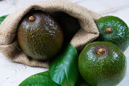 Green fresh avocado from organic avocado plantation - healthy foodの写真素材