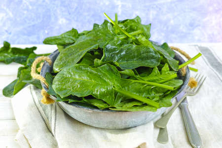 Fresh green Spinach leaves - diet and health concept, weight lossの写真素材