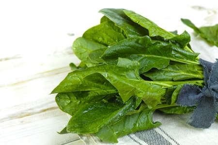 Fresh green Spinach leaves - diet and health concept, weight lossの写真素材