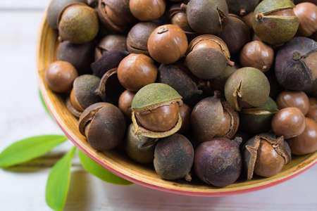 Macadamia nuts harvest close up with leavesの写真素材