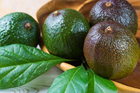 Green fresh avocado from organic avocado plantation - healthy foodの写真素材