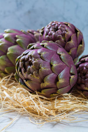 Fresh big Romanesco artichokes green-purple flower heads ready to cook seasonal foodの写真素材